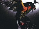 Budgie-In For The Kill  VINYL NEW