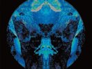 COSMIC GROUND - Cosmic Ground III - 2 LP (black) 2016