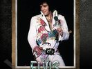 Elvis PresIey - The Elvis Files Vol.7 1974-1975 - Book - NEW & SEALED******