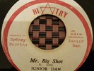 Junior Dan Mr. Big Shot Killer Roots 7