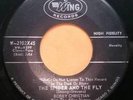 Bobby Christian With The Allen Sisters The Spider And The Fly W-2102X45 7in 1958