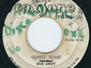 Bob Andy - Going Home / Scorcher - Straight Flush - Coxsone 7
