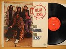BLUE ASH No More No Less LP 1973 US EX   power pop hard rock psych