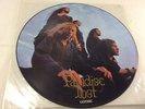 PARADISE LOST *GOTHIC* VERY RARE 1991 LP PICTURE DISC  VILE26P