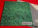 LP ITALIAN PROG LIVING MUSIC - TO ALLEN GINSBERG - ORIGINALE