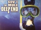 GOV'T MULE - The Deep End Vol 2 - Vinyl (2xLP)
