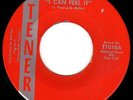 FLORIDA FUZZ GARAGE - NO ARTIST NAME LISTED (FLOWER POWER) 1st PRESS TENER -HEAR