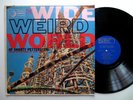 SHORTY PETTERSTEIN wide weird world - VG/VG+ MONO avant HENRY JACOBS ALAN WATTS