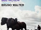 TAS LP - BRUNO WALTER / Beethoven Symphony No.6 / Columbia 6-EYE MS 6012 4DL/4BL