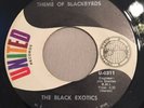 THE BLACK EXOTICS   Theme Of Blackbyrds   UNITED    Orig. Soul / Funk