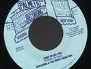Incredible Xover Dancer Benjamin & Right Direction -  Light of My Life 7