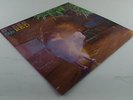 GREEN ON RED - Gravity Talks LP  1°ST UK Press  STUNNING AUDIO