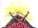 Uprising : Bob Marley & The Wailers NEW LP (4727628     )