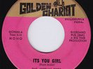 JORDAN BROS It's You Girl RARE beach 45 northern soul Philly garage psych HEAR