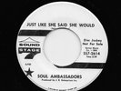 Soul Ambassadors - Just Like She Said She Would / I've Got The Feeling (Soul, 45
