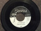 THE NIGHT RAIDERS FEATURING MICKEY HANKS Cottonpickin' PROFILE hear soundclip