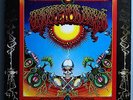 GRATEFUL DEAD AOXOMOXOA RARE 1st MIX ORIG '69 WARNER LP 1A/1A W7 LABEL VERY NICE