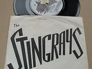THE STINGRAYS - COUNTDOWN RARE 1980 FRIED EGG POWER POP PUNK 45 WITH PIC SLEEVE