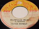 * Trevor Byfield - Burning Bush * Killer roots + Tubby dub Listen