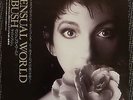 RARE Japanese Kate Bush The Sensual World Promo Poster 20