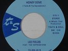 Deep Soul Funk 45 - Lee Fields - Honey Dove - T & S - VG++ mp3 - 2004 release