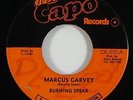 Burning Spear 