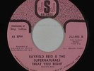 Sweet Soul/Funk 45 - Rayfield Reid - Treat You Right - JSJ  VG++ mp3