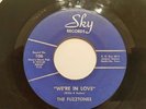 The Fuzztones We're In Love Fuzz Jerks Sky 106 RARE 1960's Garage Punk 45 VG