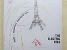 THE ELECTRIC EELS Having A Philosophical Investigation With UK vinyl LP 2000 onl