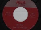 Northern Soul 45 - Carlena Weaver - Jealousy - Audel - VG++ mp3