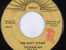 Funk/Sweet Soul 45 RISING SUN One Night Affair SUNCUT HEAR
