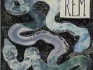 Reckoning REM vinyl LP album record UK promo IRSA7045 IRS 1984
