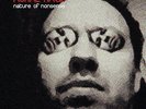 A Nature Of Nonsense [VINYL] Aural Rage Vinyl