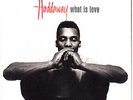 HADDAWAY What Is Love PICTURE SLEEVE 7