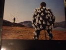 RARE ICONIC ROCK LP. PINK FLOYD  DELICATE SOUND OF THUNDER