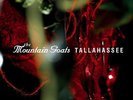 The Mountain Goats - Tallahassee