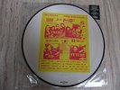 Sex Pistols, There Is No Future, Vinyl Album Picture Disc, EX.