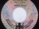 Northern/Sweet Soul 45 TIMOTHY WILSON Just Another Guy BUDDAH HEAR