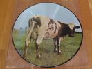 PINK FLOYD ATOM HEART MOTHER PICTURE DISC SHVL 781-P  NEAR MINT