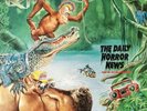 Risk The Daily Horror News, erste LP , FOC,original Pressung , 88