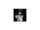 The Visitors  [VINYL] Cyclobe Vinyl