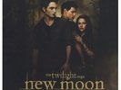 NEW MOON-BIS(S) ZUR MITTAGSSTUNDE-TWI...2 VINYL LP NEW+