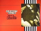 COMET GAIN - City Fallen Leaves (reissue) - Vinyl (2xLP + 6 page booklet)