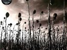 DEAD CAN DANCE Anastasis - 2LP / Clear Vinyl - Limited