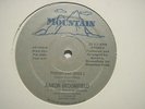 AARON BROOMFIELD Polyphase MOUNTAIN Miami Funk Boogie 12” Repress HEAR B53