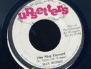 UPS1 MAX ROMEO-ONE STEP FORWARD-UPSETTER-original press-VG+ REGGAE 45 7