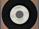 Diana Ross Supremes first record as Primettes on Lupine.