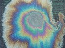 The Holydrug Couple - Moonlust