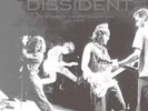 Pearl Jam - Dissident - LP Vinyl, New Sealed