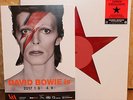 David Bowie is Japan Exhibition Limited 12
